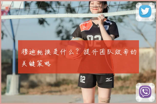 穆迪轮换是什么？提升团队效率的关键策略
