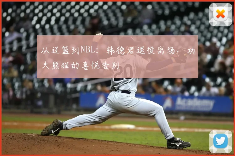 从辽篮到NBL:韩德君退役离场,功夫熊猫的喜悦告别
