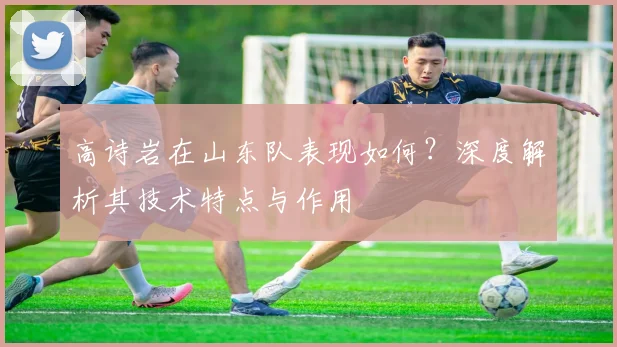 高诗岩在山东队表现如何?深度解析其技术特点与作用