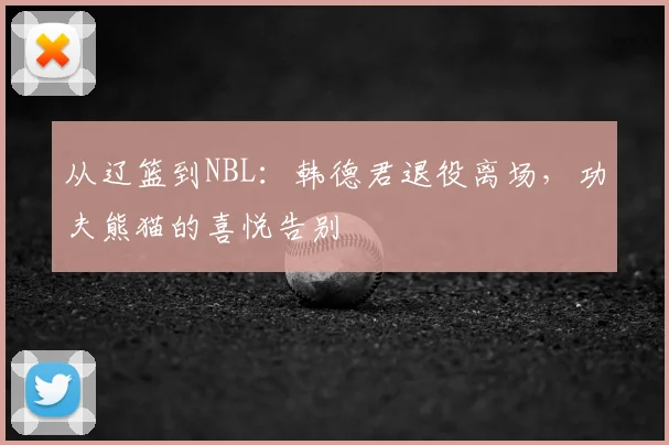 从辽篮到NBL:韩德君退役离场,功夫熊猫的喜悦告别